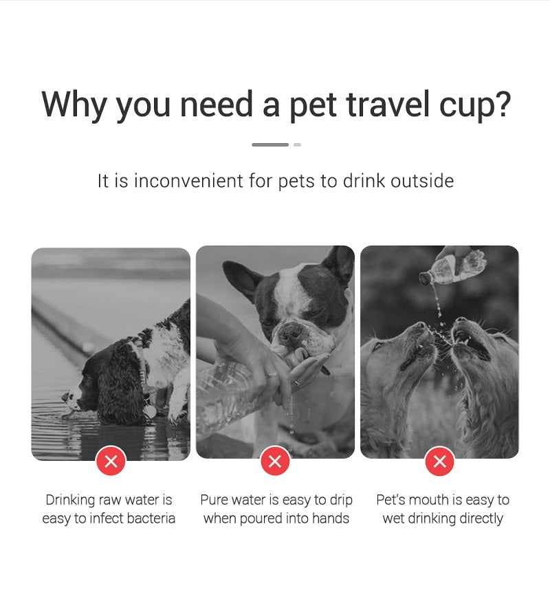 Portable Dog Water Bottle - Leak-Free with Built-In Bowl