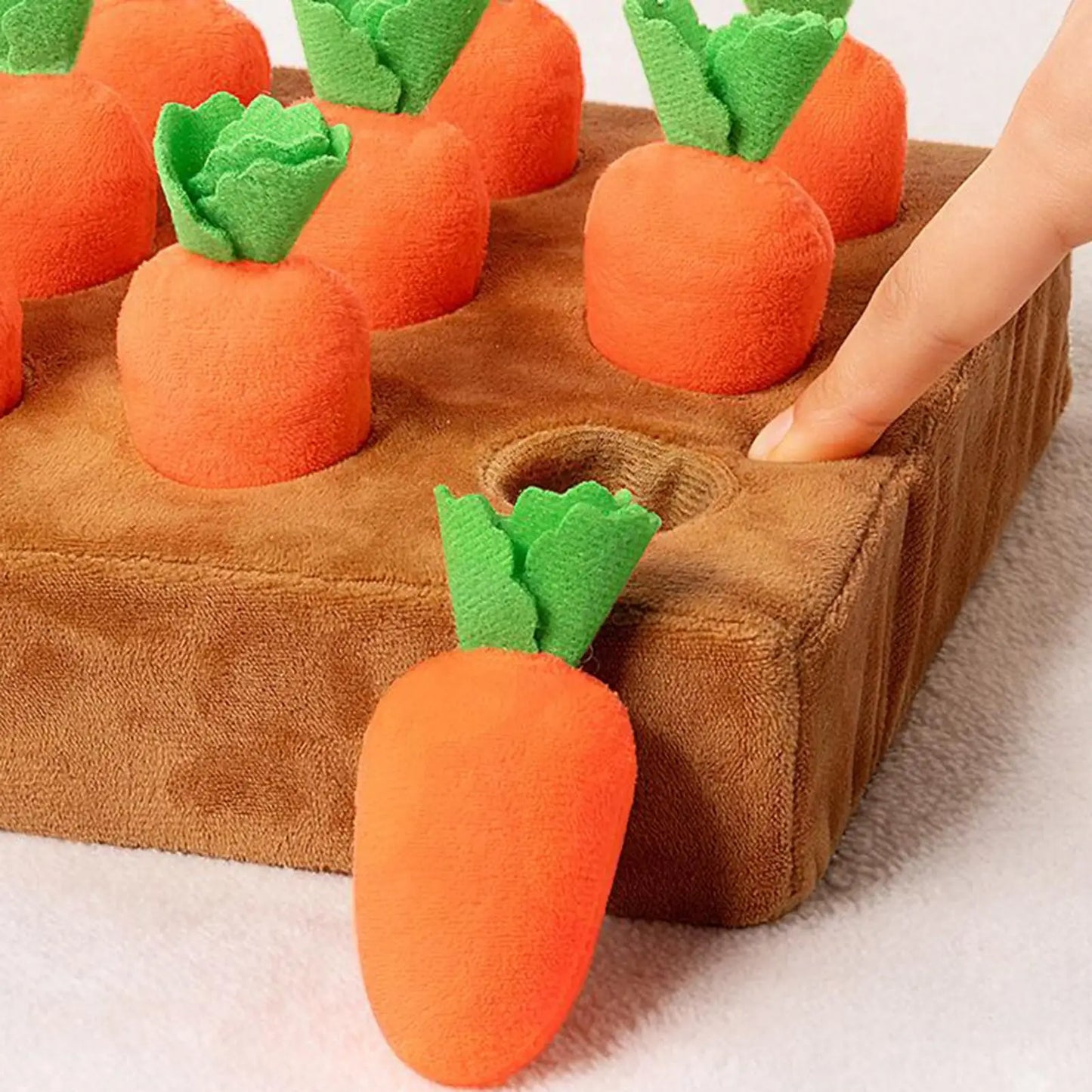 Carrot Garden Puzzle Toy