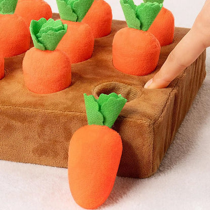 Carrot Garden Puzzle Toy