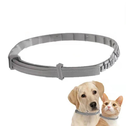 Natural tick and flea protection collar