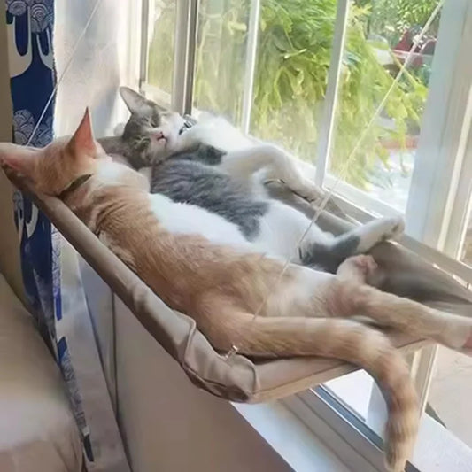 Cat Window Hammock Bed — SkyRest