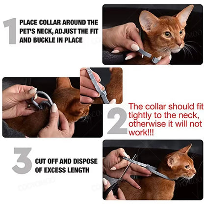 Natural tick and flea protection collar