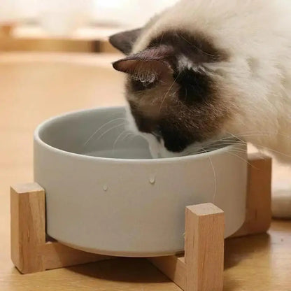 Elevated Ceramic Pet Bowl