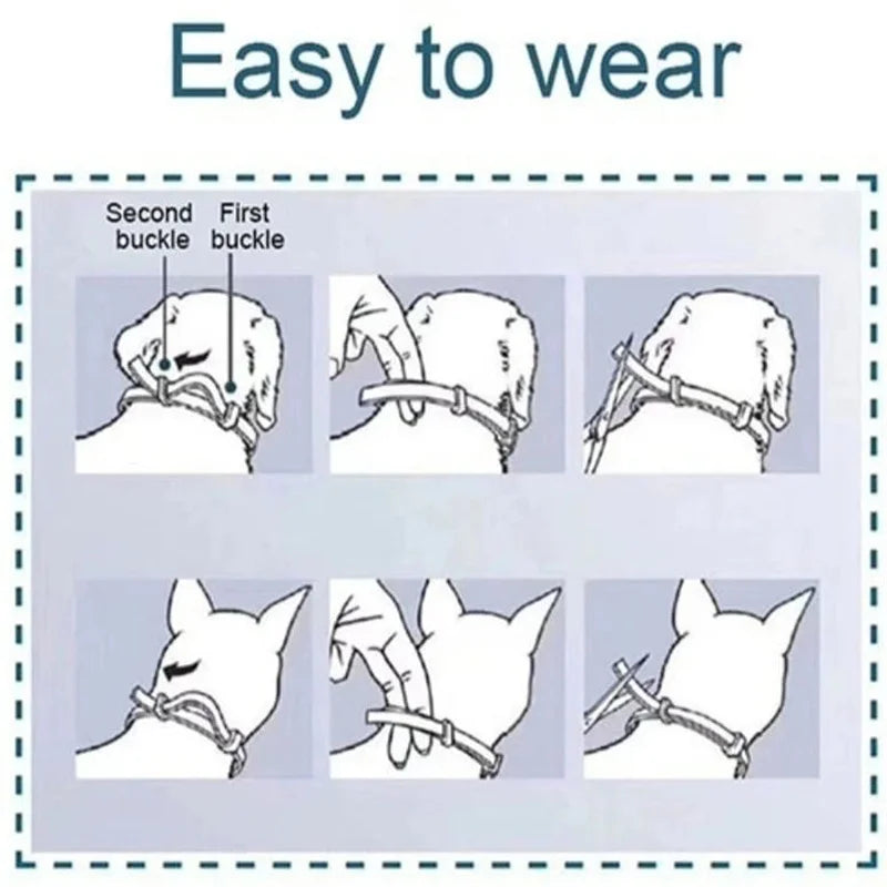 Natural tick and flea protection collar