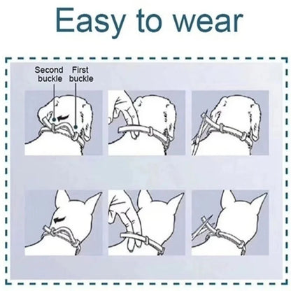 Natural tick and flea protection collar
