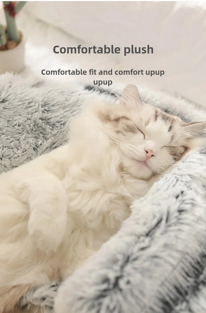 Soft Cozy Cat Cave