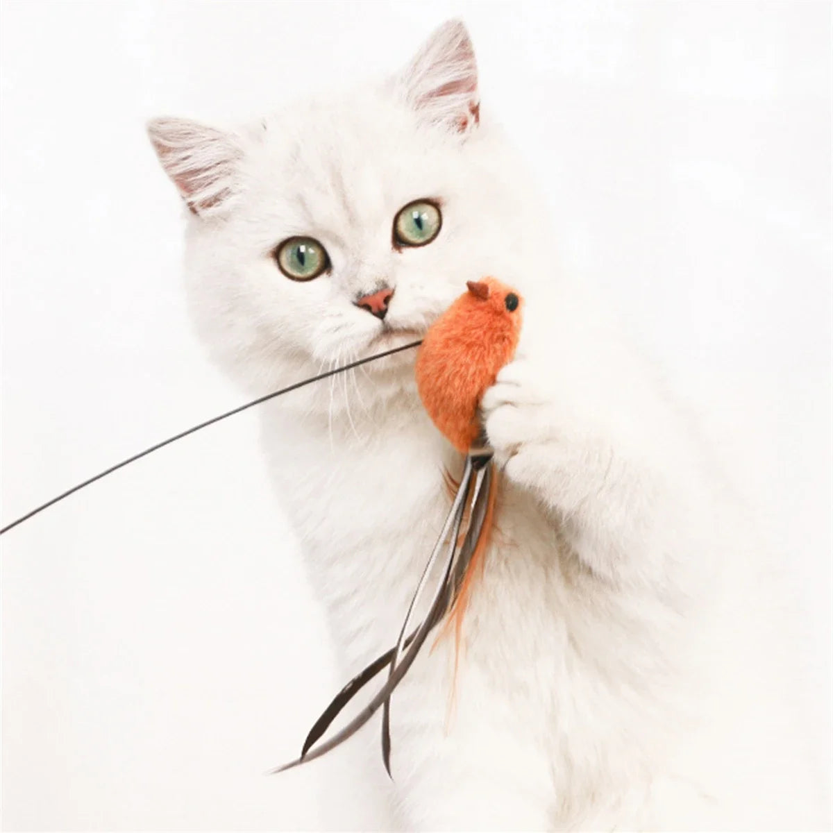 Simulated Bird Playmate - Cat Toy