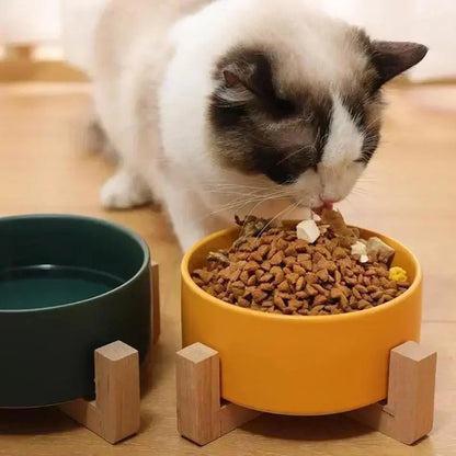Elevated Ceramic Pet Bowl
