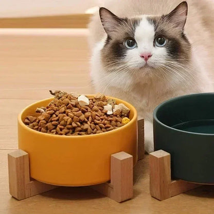 Elevated Ceramic Pet Bowl