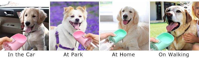 Portable Dog Water Bottle - Leak-Free with Built-In Bowl