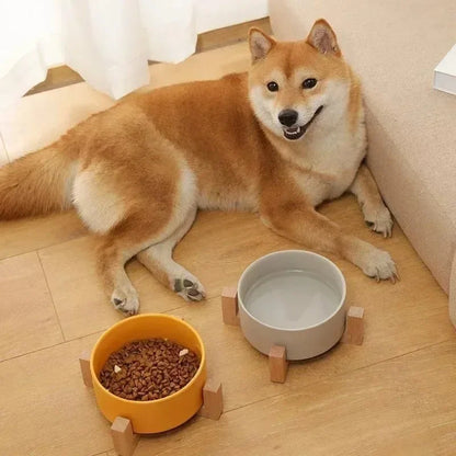 Elevated Ceramic Pet Bowl