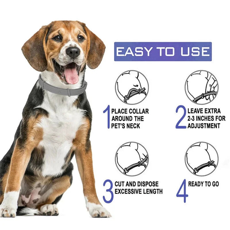 Natural tick and flea protection collar