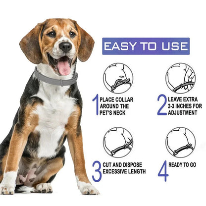 Natural tick and flea protection collar