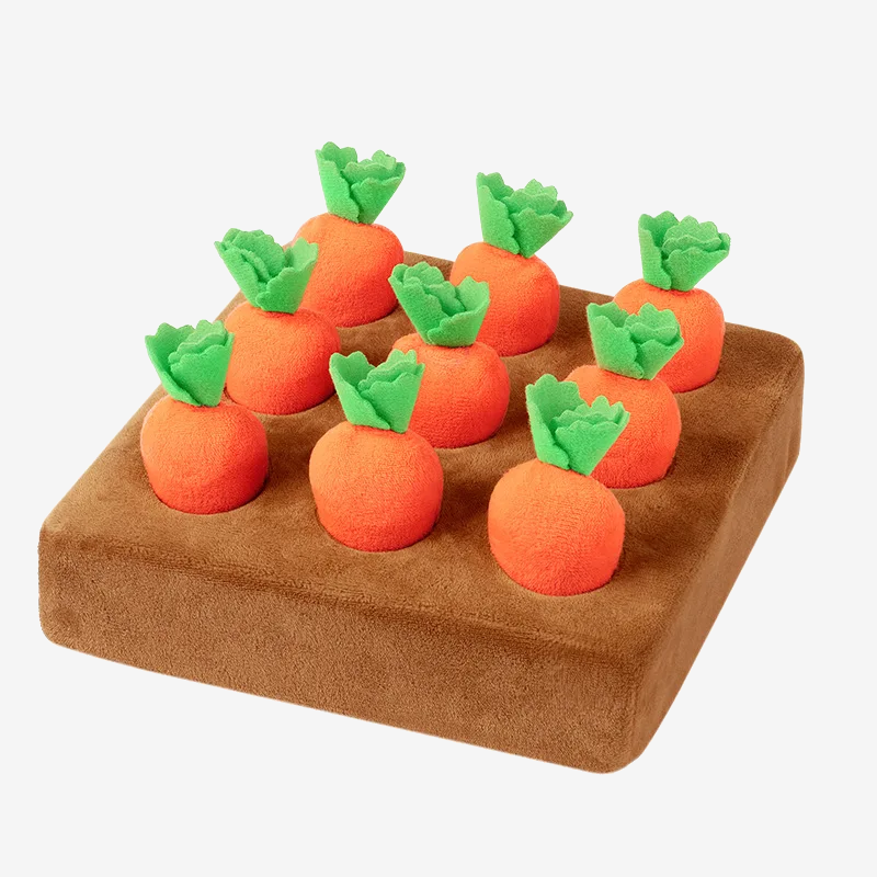 Carrot Garden Puzzle Toy