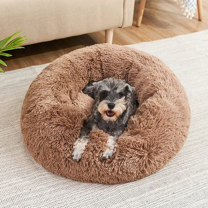 HomePaw Premium Dog Bed - dog sleeping comfortably in premium bed