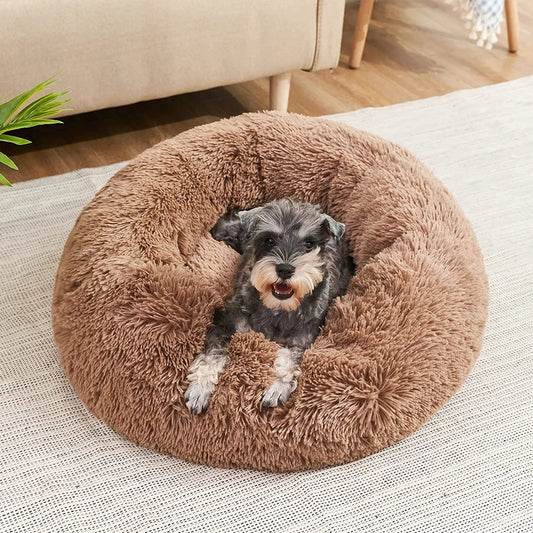 HomePaw Premium Dog Bed - dog sleeping comfortably in premium bed