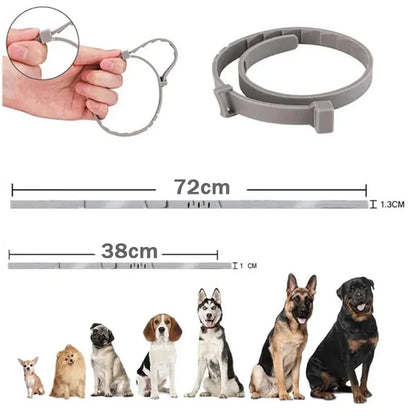 Natural tick and flea protection collar