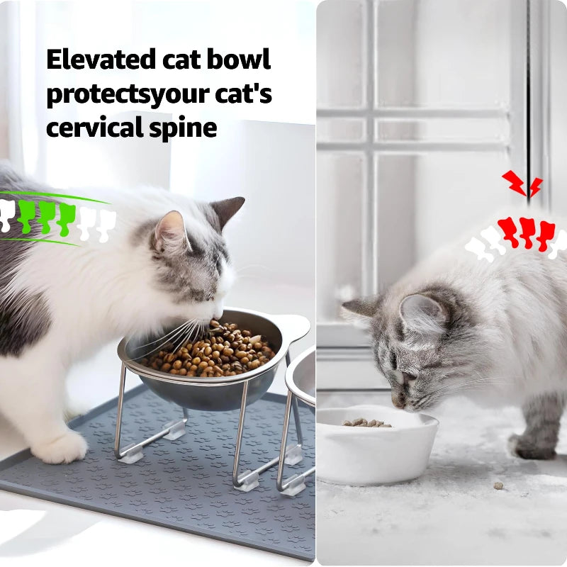 Raised Cat Bowl — Stainless Steel Tilted Feeder