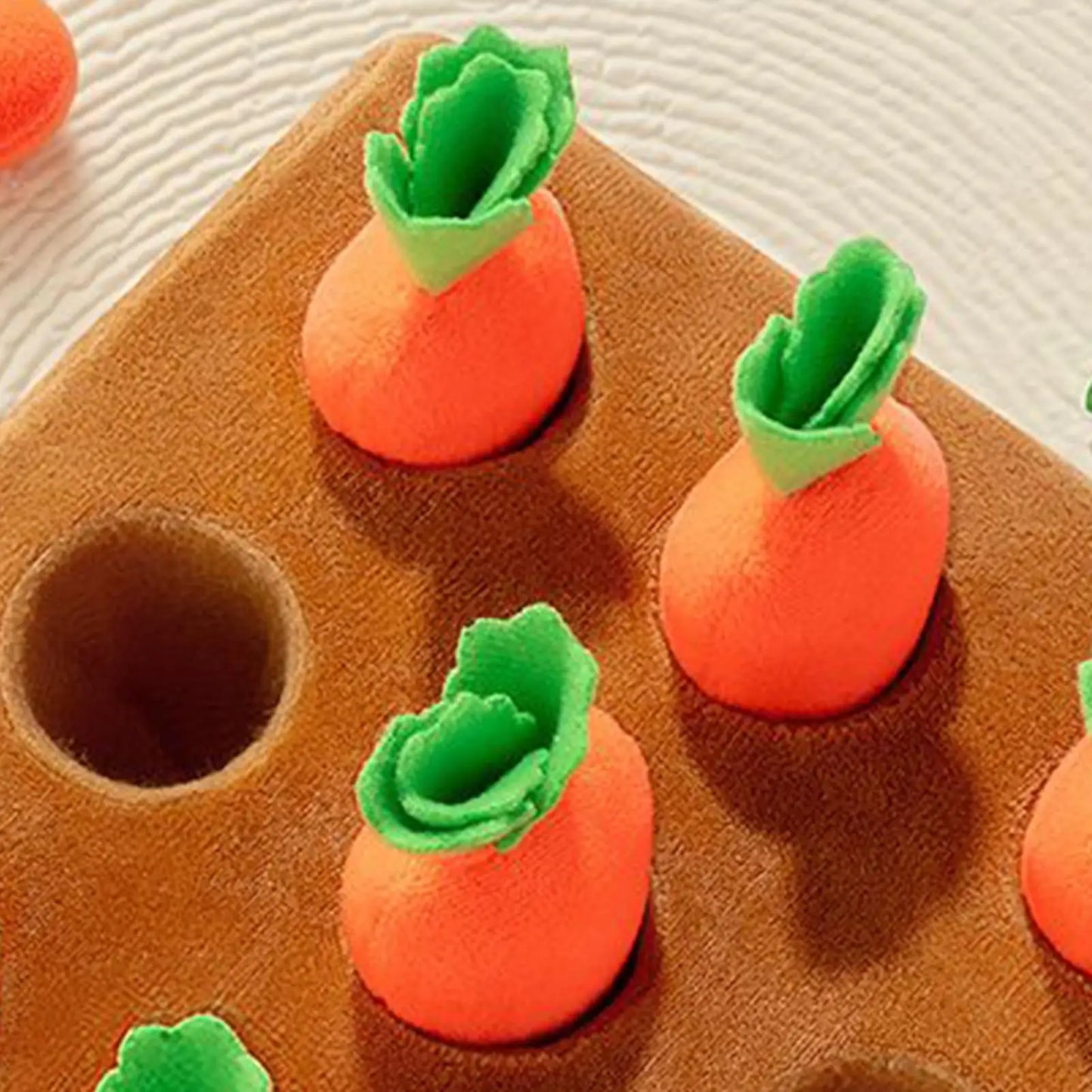 Carrot Garden Puzzle Toy