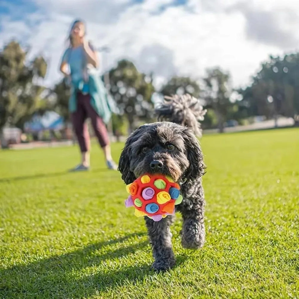 Snuffle Treat Game - Durable Dog Ball