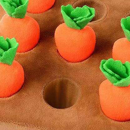 Carrot Garden Puzzle Toy