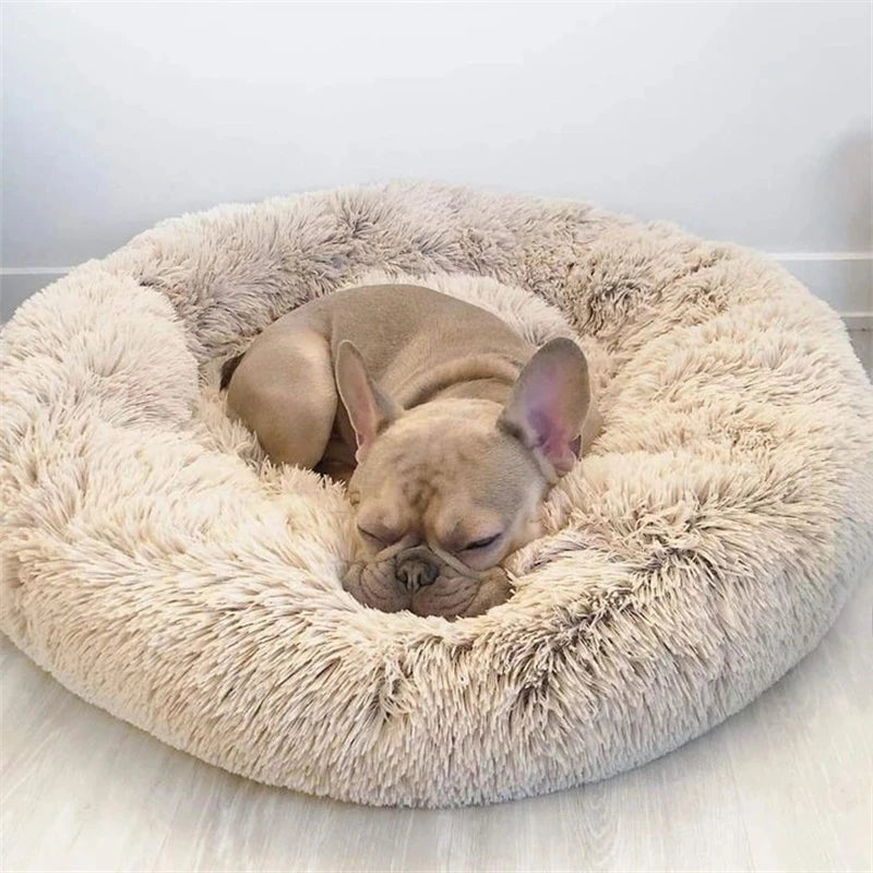 HomePaw Premium Dog Bed - premium luxury dog bed available in the UK