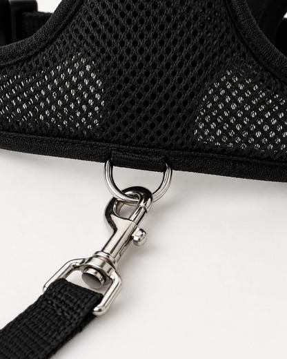 SafeStride™ Harness & Lead Set
